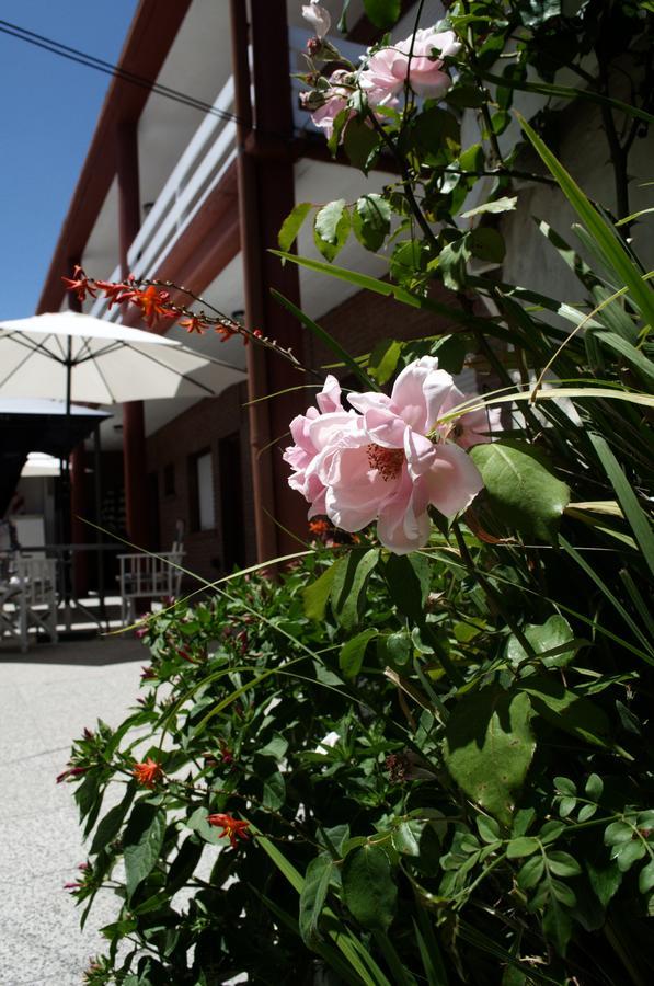 Hosteria Robert Вилья-Хесель Экстерьер фото